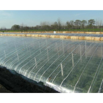 2020 high quality cheap plastic cover multi-span agricultural greenhouse plastic film